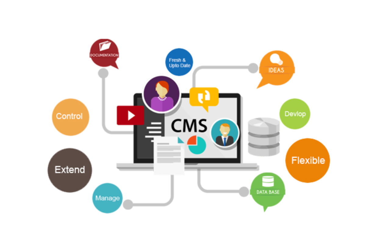 CMS YouTube Là Gì, Tại Sao Bạn Cần?